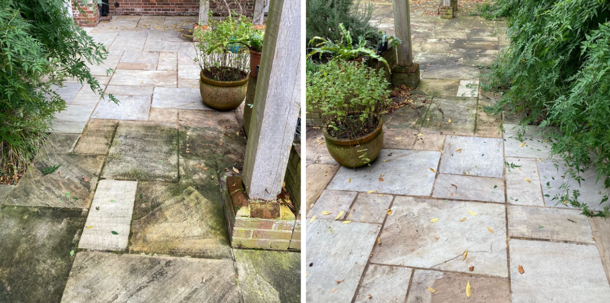 Why Is My Patio Going Green and How Can I Stop It?