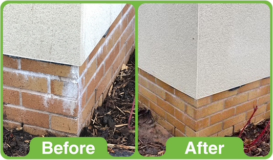How to Easily Remove Efflorescence from Brick Walls