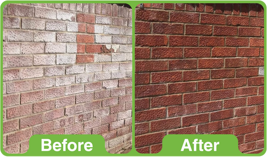 How to Remove Efflorescence from Brick Walls: The Complete 2026 Guide