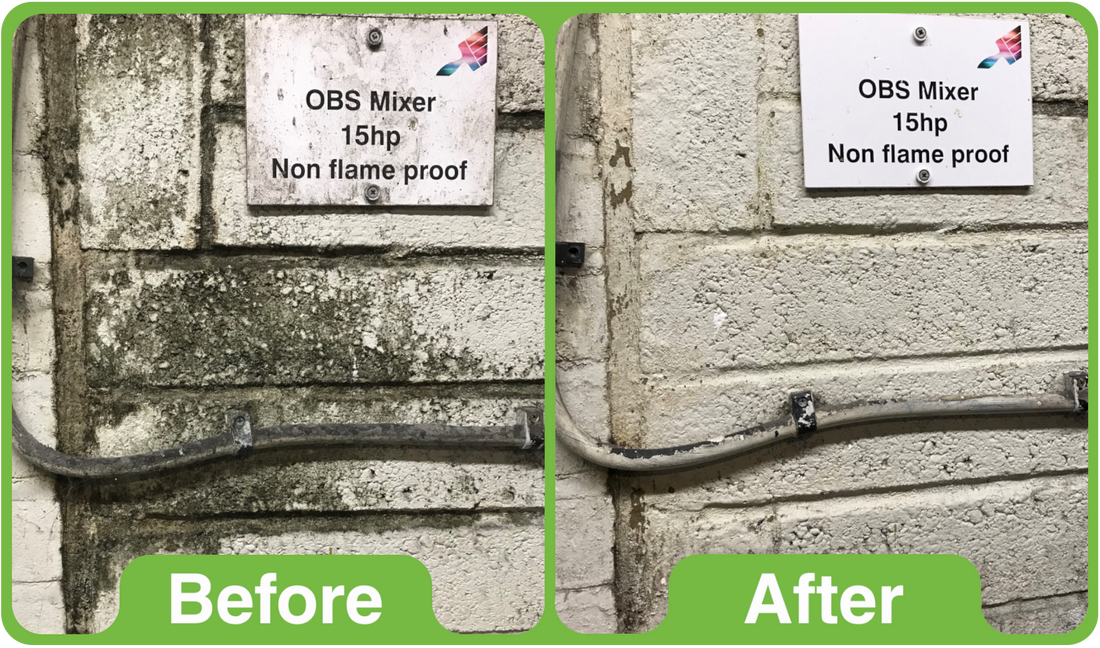 Why Does Mould Keep Coming Back After Cleaning?