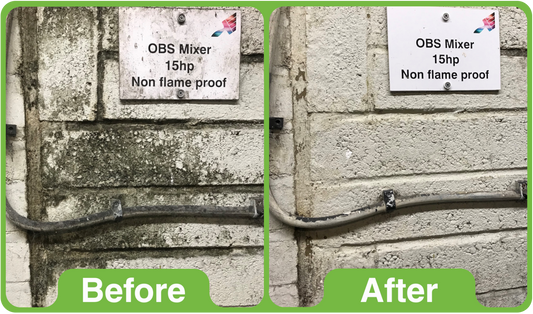 Why Does Mould Keep Coming Back After Cleaning?