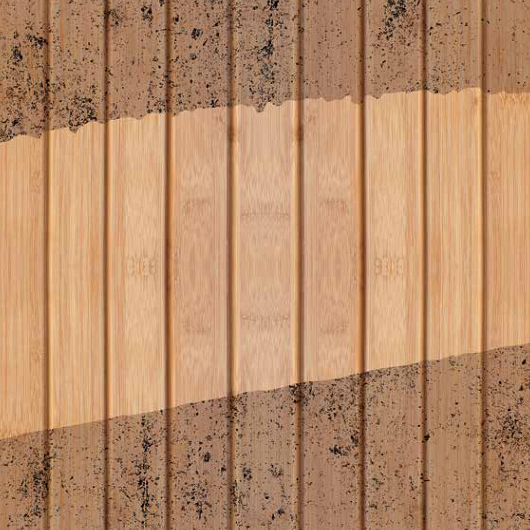 Algae on Decking Removal