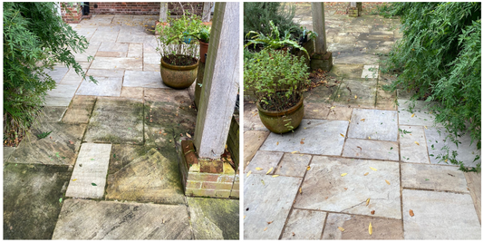 How to Get Rid of Green Algae on Concrete
