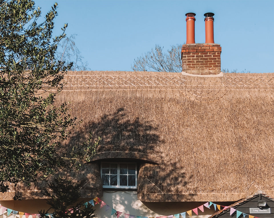 Photo by Megan Andrews Instagram -- @meganreandrews