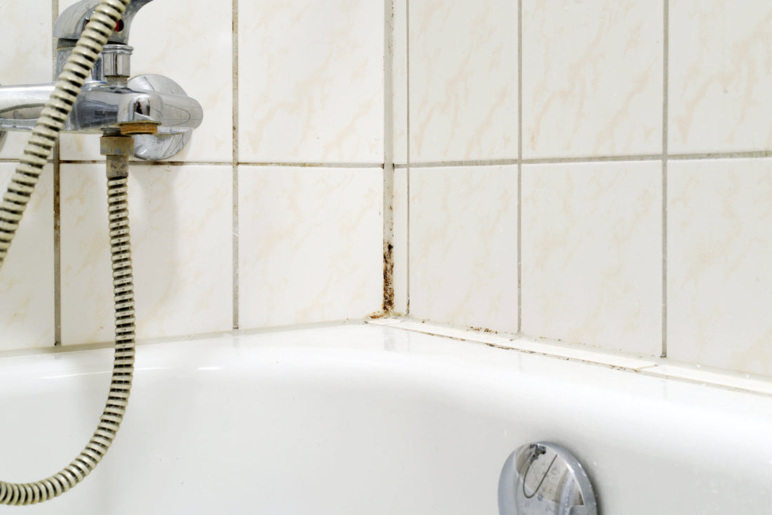 How to Remove Mould from Shower