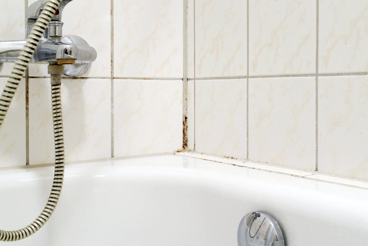 How to Remove Mould from Shower
