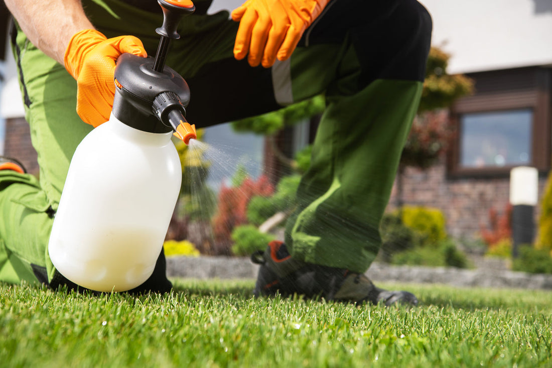 How to Clean Artificial Grass - Easily Removing Algae and Bacterial Growth