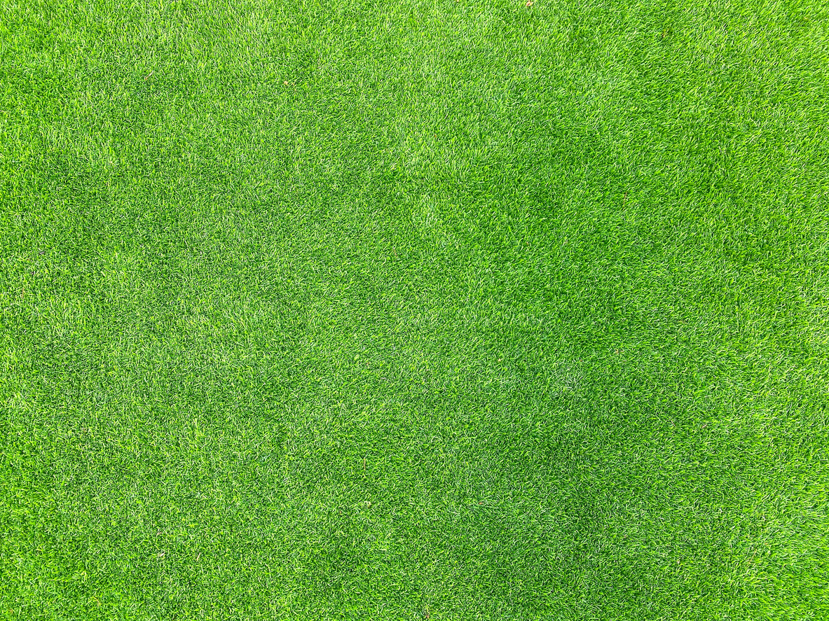 How to Clean Artificial Grass - The Complete Maintenance Guide for 2025