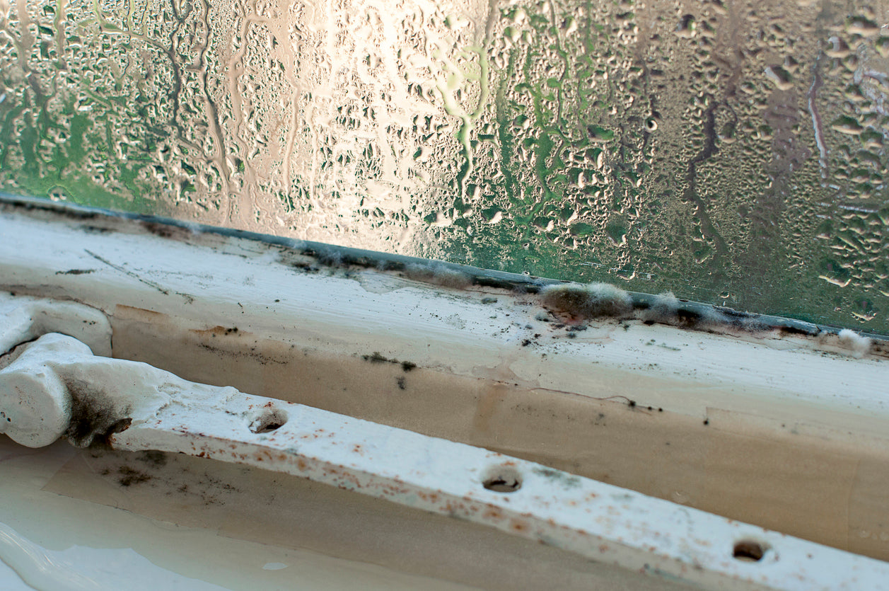 How to Clean Mould from Windows