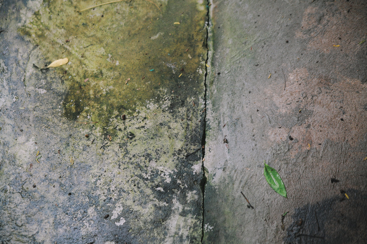 How Do You Remove Green Algae from Concrete?