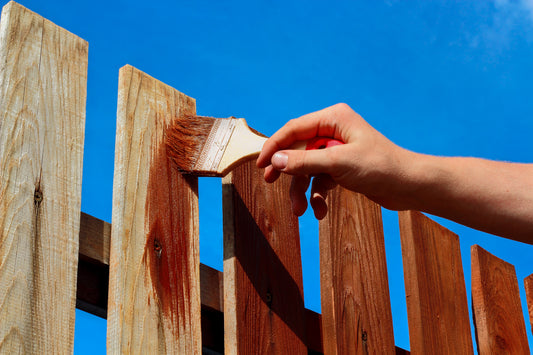 How to Remove Algae from a Fence Before Painting