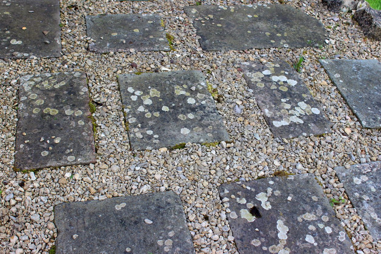 How to Remove Lichen from Patio