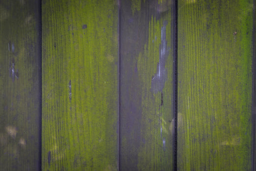 Fence Cleaning example 5 at a UK home