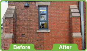 GK Black Spot Remover 5Ltr