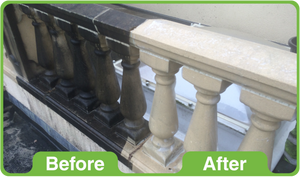 GK Black Spot Remover 5Ltr