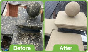 GK Black Spot Remover 5Ltr