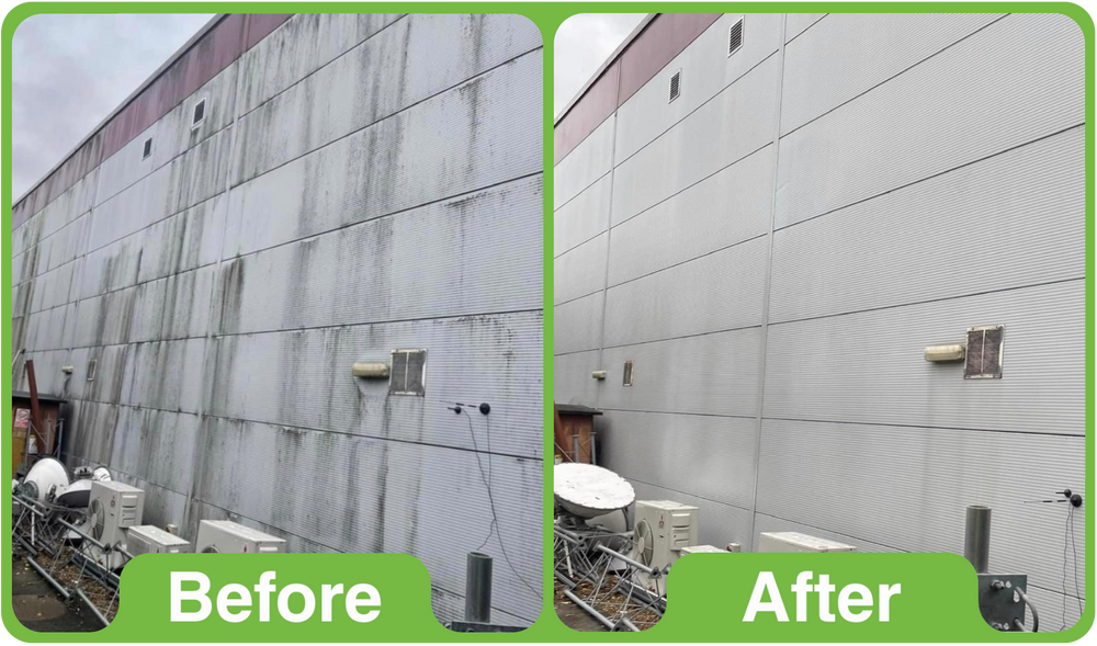 GK Pro 5Ltr (Professional use only)