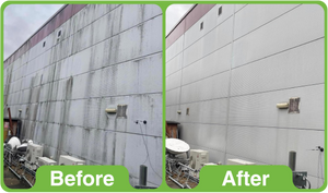 GK Pro 5Ltr (Professional use only)