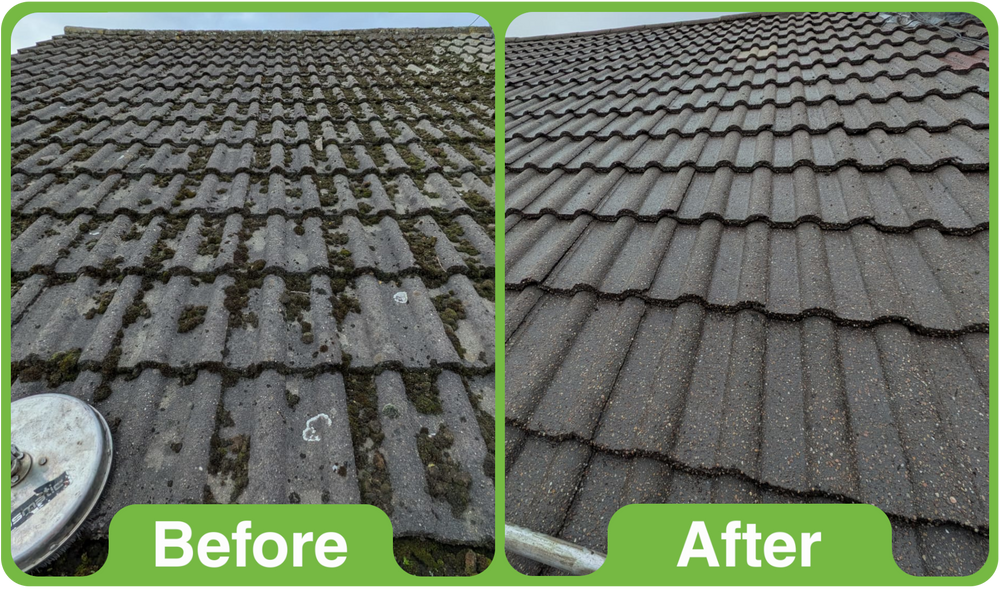 GK Pro 5Ltr (Professional use only)