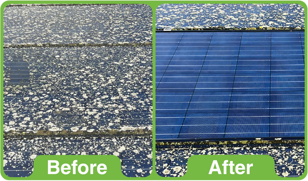 GK Pro 5Ltr (Professional use only)