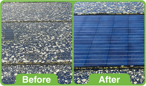 GK Pro 5Ltr (Professional use only)