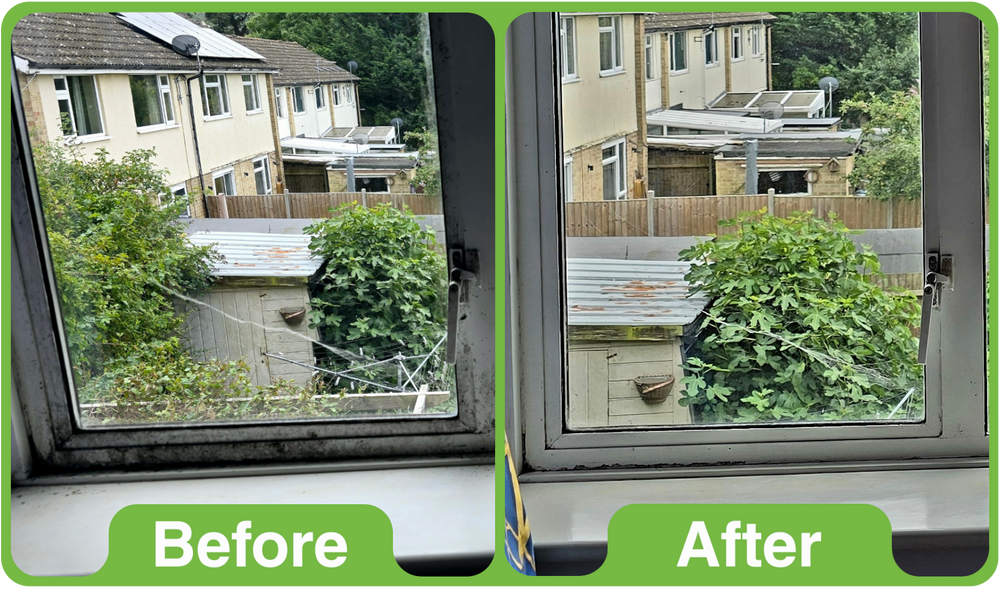 GK Mould & Mildew Cleaner 1Ltr