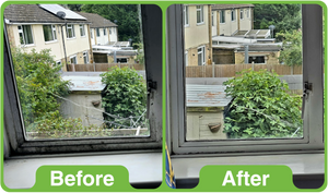 GK Mould & Mildew Cleaner 1Ltr